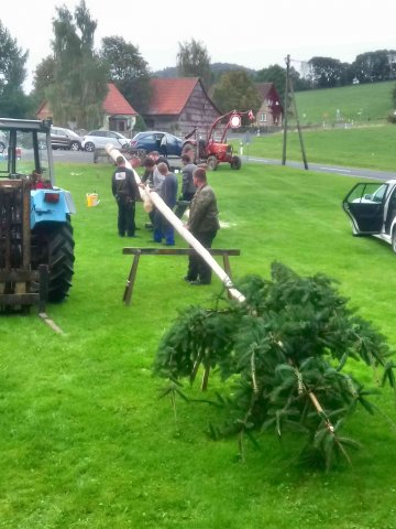 31. Baum aufstellen