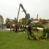 picture-0012